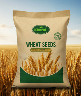 Wheat Seeds