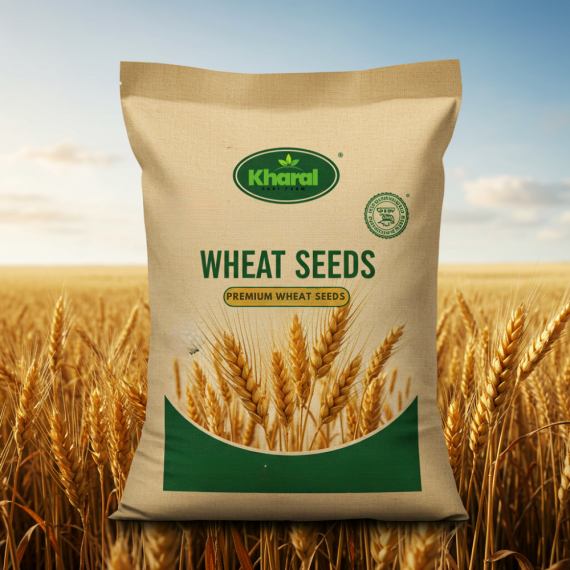 Wheat Seeds